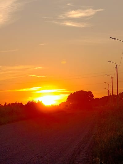 The image depicts a sunset over a rural landscape, likely on the outskirts of Kamennyi Kliuch, Russia. The sky is filled with a vibrant orange and yellow gradient, with thin, wispy clouds scattered across the upper portion. In the foreground, a gravel or dirt road leads into the scene, bordered by dry grass and vegetation on the right. A line of trees, silhouetted against the bright sky, forms a dark band across the middle ground, with the setting sun partially obscured behind them, casting a warm glow. Several utility poles with streetlights are visible along the right side of the road, with power lines stretching across the sky. The overall atmosphere is tranquil and serene, characteristic of a rural sunset.