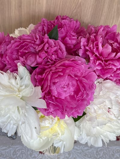 A close-up shot showcases a bouquet of lush peonies. The blooms are predominantly vibrant pink and pristine white, with a few pale yellow specimens interspersed. The petals are densely layered and ruffled, creating a soft, textured appearance. A single green leaf is visible among the pink flowers. The background consists of a light brown, wood-grained surface and a patterned tablecloth beneath the bouquet. The scene is static and appears to be indoors. There are no people or animals present, although a small black insect is visible on one of the white petals. The location is not specified as being in Валожынскі сельскі Савет, Belarus.