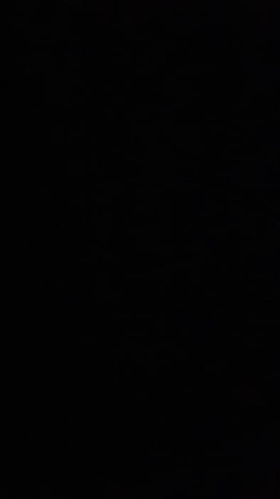 The image is completely black. There is no discernible content, object, or texture present. The image lacks any variation in tone or shading, resulting in a uniform, dark field. It is devoid of detail and offers no information about its composition or subject matter.
