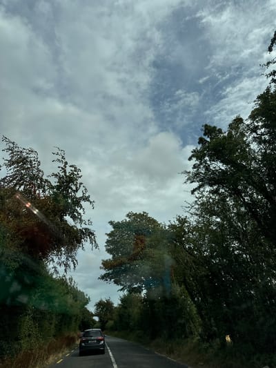 The image captures a view from a car driving on a rural road, likely in the New Ross Municipal District, Ireland, given the license plate format on the vehicle ahead. The road is paved, with yellow and white lane markings. Dense foliage lines both sides of the road, with mature trees creating a canopy overhead, partially obscuring a cloudy sky. A dark-colored hatchback car, with license plate "201 D 911", is visible ahead on the road. Sunlight creates lens flares on the left side of the image, indicating the photograph was taken through a car windshield. The overall atmosphere is overcast and natural.