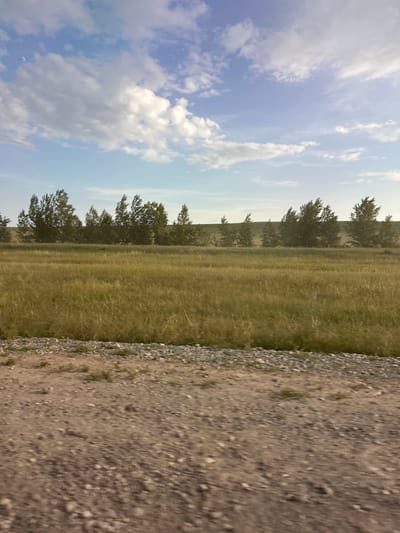 This is a vertical, medium-angle, outdoor, eye-level shot of a rural landscape under a partly cloudy sky. The image is oriented with the sky at the bottom and the ground at the top, suggesting it was taken with the camera rotated 90 degrees clockwise.
The scene is divided into three distinct horizontal bands. The bottom portion of the image is a bright, pale blue sky with scattered, fluffy white clouds. A sliver of the moon is visible in the upper left quadrant of the sky. The middle band features a dense line of trees with dark green foliage, silhouetted against the lighter sky. The trees are of varying heights and appear to be deciduous. The top portion of the image shows a wide, open field of dry, yellowish-green grass, stretching from the line of trees towards the foreground. A gravel road runs along the right edge of the image, from the bottom to the top, with a strip of the grassy field bordering it on the left. The gravel road is composed of small, light-colored stones and dirt.
There are no people or distinct objects visible in the image, other than the natural elements of sky, trees, grass, and road. The activity taking place is simply the existence of the landscape. The time of day appears to be daytime, possibly late afternoon or early evening, given the soft lighting and the visible moon. The weather is clear with some cloud cover. The location cues of trees, grass, and a gravel road suggest a rural or undeveloped area, consistent with the provided location context of Novonikolaevka, Russia. No text is visible in the image. The overall mood is peaceful and serene.