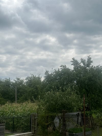 The image depicts an overcast sky above a garden area in Nyzhnii Verbizh, Ukraine. In the foreground, a metal fence encloses a garden with a raised bed containing greenery and a plastic-covered structure. Beyond the fence, rows of corn plants are visible, with a wooden pole to the left of the cornfield. Further back, a dense line of leafy green trees forms the backdrop. The overall scene is that of a rural garden under a cloudy sky.