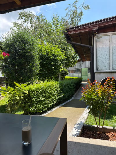 The image depicts an outdoor scene in Starosel, Bulgaria, captured from a slightly elevated perspective looking into a garden and towards adjacent buildings. In the immediate foreground on the left, a clear, octagonal-based glass containing a light brown, opaque beverage with a white plastic straw is positioned on a dark, matte rectangular table surface. A section of a light brown wooden table frame is visible on the right side of the glass.

Beyond the table, a narrow concrete pathway, with a slightly rough texture, extends into the midground, curving subtly to the right. This path is bordered on both sides by meticulously trimmed green hedges. To the right of the path, closer to the foreground, a planter box contains a small shrub with distinctive green leaves transitioning to vibrant reddish-orange hues at the tips, surrounded by reddish-brown bark mulch.

On the right side of the frame, a segment of a building is visible, featuring a light grey, textured wall and a rectangular window with a light-colored curtain displaying a patterned design. Above this, a rustic-style roofline with a weathered dark red-brown fascia board is present, adorned with a repeating pattern of white or light-colored semicircular cutouts. A black downspout descends from the roof edge. Further down the path, in the background, another building with light-colored vertical paneling and a light green, louvered door is discernible. The overall environment is characterized by dense, lush green vegetation, including various trees and shrubs, some with lighter green foliage and others with darker, denser leaves. The upper portion of the image reveals a bright blue sky with scattered white cumulus clouds. No individuals are present in the scene.