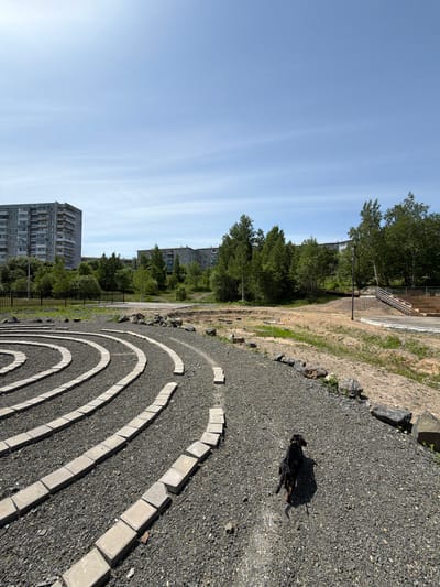 In Amursk, Russia, a black dachshund is seen trotting through a grey gravel path forming a spiral labyrinth, possibly within a park or recreational area. The labyrinth is outlined with light-colored rectangular pavers. In the background, several multi-story apartment buildings and lush green trees are visible under a clear blue sky. The overall scene suggests a sunny day in an urban or suburban environment.