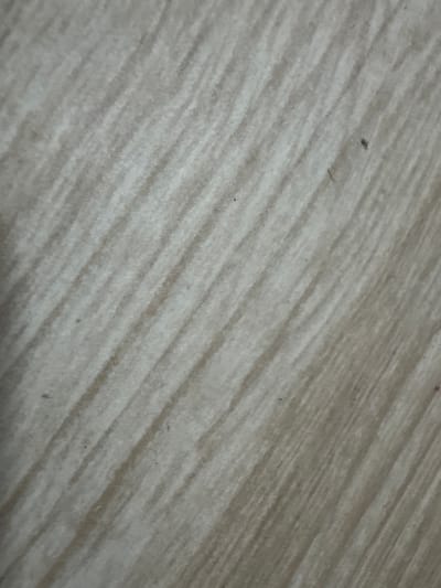 This is a close-up, high-angle, shallow-depth-of-field photograph of a light-colored, wood-grained surface. The grain runs diagonally from the top left to the bottom right of the frame, with lighter and darker stripes creating a textured appearance. There are several small, dark specks visible on the surface, which appear to be dust or dirt. The lighting is neutral and diffused, suggesting an indoor setting with artificial light or an overcast sky. There is no visible text or discernible activity. The overall impression is of a clean, perhaps laminate or painted wooden surface. Without further context or visible landmarks, it is difficult to determine specific location cues beyond the general description of the surface.