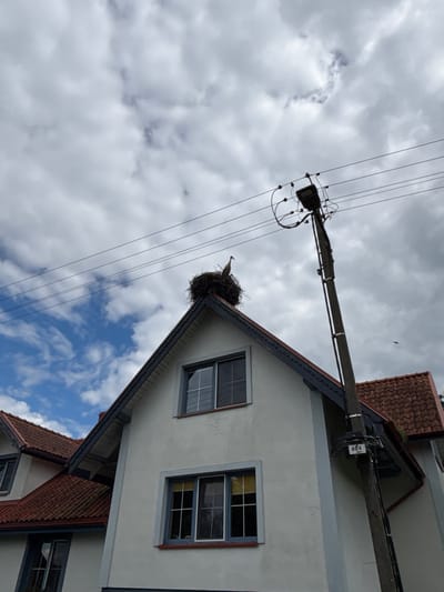 The image captures a residential scene in Wojnowo, Poland, under a partly cloudy sky. A large, circular bird's nest constructed from sticks is prominently situated on the apex of the gabled roof of a light-colored, multi-story house with reddish-brown roof tiles. A single white stork stands within this nest, facing towards the right. The house features multiple windows, some with blue trim. To the right of the house, a dark grey utility pole supports overhead electrical wires and a street light fixture; a white plaque labeled "40A" is visible on the pole. No individuals are present in the frame.