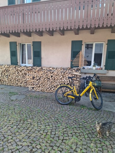 A tabby cat stands on a cobblestone patio in front of a building with a wooden balcony. To the left of the cat, a stack of firewood is piled against the building. A yellow bicycle with a green basket is parked in front of the firewood. Behind the bicycle, another bicycle can be seen. The building has two windows with green shutters and a light-colored facade. The wooden balcony has a decorative railing. The cobblestone patio is partially overgrown with grass and weeds. In the upper right corner, a wooden bench is visible.