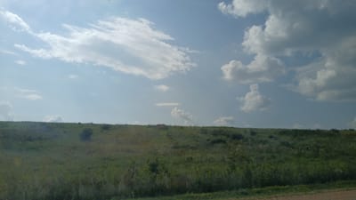 The image depicts a wide, grassy hillside under a partly cloudy sky. The foreground is dominated by dense green vegetation, with various types of grasses and some taller plants visible. The hillside slopes upwards towards the horizon, which is marked by a line of dark green shrubs and trees. The sky above is a pale blue, with a mixture of white, fluffy cumulus clouds and wispy cirrus clouds scattered across it. Sunlight filters through the clouds, creating a bright and airy atmosphere. The scene appears to be in a rural or natural setting, possibly on the outskirts of Zmeinogorsk, Russia, given the overall landscape typical of the Altai Krai region. There are no people or specific structures visible in the image, focusing solely on the natural environment.