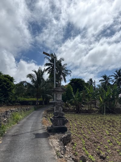 The image depicts a road in Pejukutan, Indonesia. The road is narrow and paved with asphalt. On the right side of the road is a field with young plants and on the left, there are dense bushes and trees, including palm trees. A decorative stone structure with an attached utility pole and a streetlight stands near the road. Above, the sky is partially covered with white clouds against a blue background.
