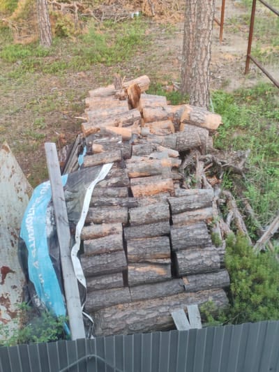 A pile of cut logs is stacked in a wooded area in Solnechnyi, Russia. The logs are of varying sizes and are stacked horizontally. Some of the logs are covered by a blue tarp. In the background, there are trees and green foliage. A metal fence is visible in the foreground.