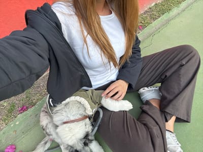 The photo shows a person sitting on a green and red surface, likely a tennis court or similar recreation area. The person wears gray sneakers, brown pants, a white t-shirt, and a black jacket. A furry dog is lying on the person's lap. The dog has a brown collar and is wearing a green shirt or jacket. The image is taken from a high angle, possibly from the person's perspective.