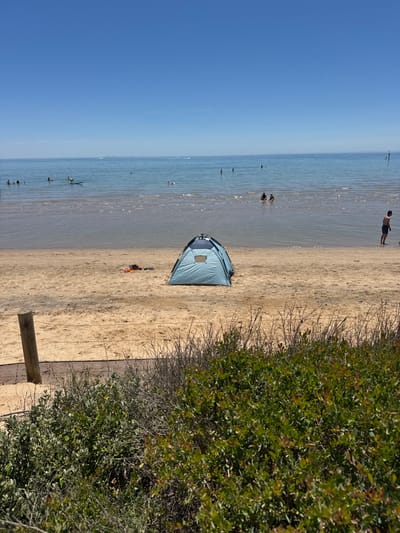 This image captures a sunny beach scene in Frankston, Australia, looking out over a calm body of water towards a clear blue sky. The horizon line stretches across the mid-ground, separating the calm, light blue water from the bright, cloudless sky.

On the sandy beach in the foreground, a light blue, dome-shaped beach tent or sun shelter is set up. In front of the tent, a few personal items, possibly a bag or towel, are visible on the sand. The sand extends from the water's edge to a natural barrier of lush green bushes and drier, woody scrub along the right side of the frame. A dark mesh fence and a thick wooden post are visible, marking the boundary between the beach and the vegetation.

Several people are enjoying the water. One individual, wearing dark swim trunks, stands in the shallow water towards the right, facing away from the camera. Other smaller figures are scattered further out in the water, some appearing to be wading or swimming, enjoying the pleasant conditions. The water shows gentle ripples and reflections of the sky.

The scene conveys a peaceful daytime setting, likely mid-day, with clear weather ideal for beach activities. There is no visible text in the image.
