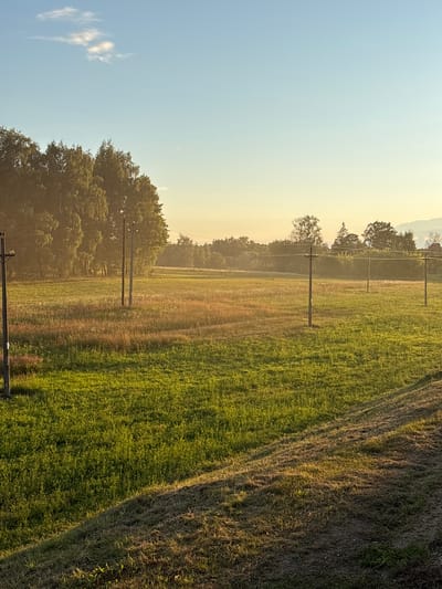 The image depicts a rural landscape with a field, trees, and utility poles under a clear sky. The sun appears to be low in the sky, casting long shadows and creating a warm, hazy atmosphere. The field is a mix of green grass and dry vegetation, with several wooden utility poles spaced across it, supporting wires. In the background, a dense line of trees forms the horizon, with more distant trees and possibly some hills visible. The sky is a gradient of blue and pale yellow, with a few wispy clouds. The foreground shows a cut or mown strip of dry grass, contrasting with the longer green grass of the field. The overall impression is one of a tranquil, late afternoon or early evening in a rural area, likely in the region of Краснабярэжскі сельскі Савет, Belarus, given the context. There are no people or animals visible in the image.
