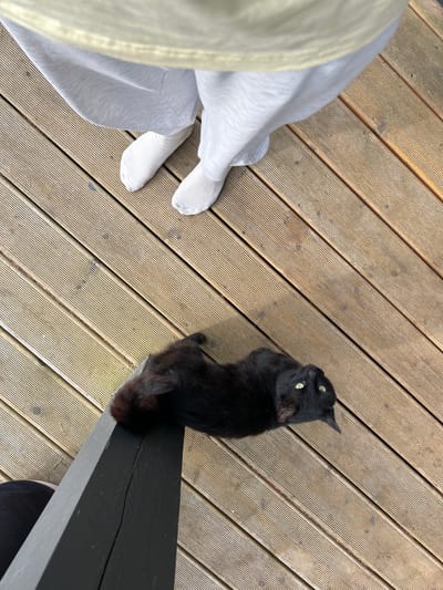 In Shepelyovo, Russia, a black cat lies on its back on a wooden deck, its green eyes wide. The cat is positioned near a dark grey wooden railing. To the upper left of the cat, a person's legs are visible, wearing white socks and light grey sweatpants and a pale yellow top. The wooden deck boards are oriented diagonally across the frame.