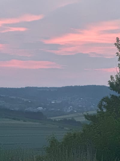 The image depicts a pastoral landscape at dusk, with rolling hills and scattered houses of a village, possibly within the city of Pavliv, Ukraine. The sky is painted with soft hues of pink and lavender, indicative of a sunset or sunrise, with wispy clouds diffusing the light. The foreground is dominated by tall grasses and foliage, with a large tree on the right side of the frame partially obscuring the view of the village below. The village itself appears nestled in a valley, with buildings and rooftops faintly visible through the hazy atmosphere. Agricultural fields, likely consisting of crops, are arranged on the slopes of the hills, adding to the rural character of the scene. The overall impression is one of tranquility and natural beauty.