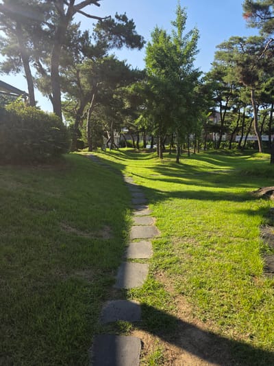 This media file depicts a sun-drenched park scene in Buyun-ri, South Korea. The primary subjects are a paved pathway winding through a lush green lawn, bordered by mature trees casting long, distinct shadows across the grass. The path is made of dark, rectangular stepping stones, suggesting a well-maintained outdoor space.
The time of day appears to be late morning or early afternoon, given the bright sunlight and the sharp contrast of the shadows, indicating the sun is high in the sky. The weather seems clear and pleasant, with a vibrant blue sky visible through the trees. The trees themselves are a mix of evergreens and deciduous trees, some with dense foliage, others with more sparse branches, adding texture and depth to the landscape.
No people or specific objects are prominently featured, focusing the attention on the natural environment and the man-made pathway. The overall mood conveyed is one of tranquility and natural beauty. A subtle detail is a partial view of a sign with Korean text visible on a tree trunk in the background, though the text is not legible enough to discern any specific message. The setting is characteristic of a public park or a landscaped garden, likely a place for quiet contemplation or leisurely strolls.