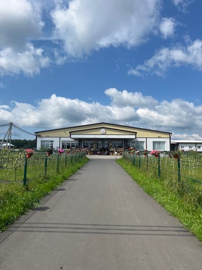 The image depicts a frontal view of a long, modern building with a light yellow roof and white walls, situated in a rural environment. A paved walkway leads directly towards the entrance of the building. The building appears to be a commercial establishment, possibly a greenhouse or a market, given the abundant flowers in pots lining a green fence on either side of the walkway.

The environment is characterized by a bright, sunny day with a clear blue sky dotted with fluffy white clouds. To the left of the building, a utility pole with wires is visible, suggesting proximity to infrastructure. Lush green grass and vegetation grow along the fence and surrounding areas.

There are a few people visible. One person, wearing a white dress, is walking away from the camera towards the building. Inside the building's entrance area, several other figures can be seen, partially obscured by decorative floral displays. The overall scene suggests a well-maintained, accessible location, likely a place of business or public attraction in the village of Akhlebaikha (Kovriginskii S/S), Russia.
