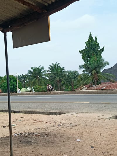 The image depicts a street scene in Sobon-Gida, Nigeria. A two-lane paved road is visible with a concrete divider. On the far side of the road, there are palm trees, a taller green tree, and houses with red and black roofs. On the near side of the road, in the foreground, is a dirt and litter-strewn area. A metal post and a sign structure stand on the left side of the image. Two people on a motorcycle are visible in the mid-ground.