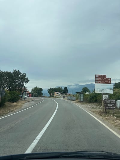 The image shows a view from a vehicle on an asphalt road in a mountainous region, likely Blizikuće, Montenegro, on an overcast or hazy day. The road curves to the right, marked by a solid white line on its edge.
On the right side of the road, several wooden signs provide directions and information. One set of signs, featuring both Cyrillic and English text, points upwards, indicating destinations straight ahead: "Црква Св. Сав / St. Sava's Church," "Црква Св. Неђеље / Holy Sunday Church," and "Црква Св. Јована / St. John's Church." Another sign advertises "PASTROVICA DVORI SINCE 1988," with separate panels for "RESTAURANT" (pointing left) and "ROOMS" (pointing right).
The roadside is characterized by dry grass, dirt, and various trees and bushes. In the distance, hazy mountains are visible beneath the cloudy sky. On the left side of the road, a small structure resembling a bus stop or shelter is present, surrounded by more greenery. A tiny dark speck, possibly a bird, is seen high in the overcast sky. Part of the vehicle's frame is visible along the right edge of the image. The scene captures a moment of travel through a scenic, possibly rural or semi-rural, area.