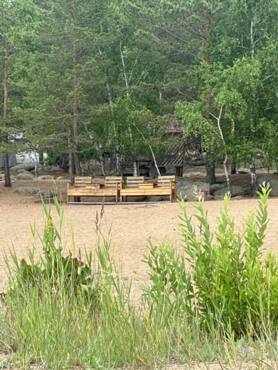 The image depicts a natural outdoor scene. The foreground is dominated by tall green grasses and reeds, suggesting a grassy area or shoreline. Behind the grass, there is a sandy path or beach. Further in the background, a wooden structure resembling benches or a picnic table made of pallets is visible. Beyond the wooden structure, there is a dense forest with a mix of birch and pine trees. Large rocks are interspersed among the trees, adding to the natural landscape.

The scene appears to be set during the daytime, with the lighting suggesting it could be midday or early afternoon. The weather seems pleasant, as indicated by the lush greenery and the outdoor setting. The location cues, such as the mix of trees, sandy ground, and rocks, are consistent with a natural park, lakeside, or forest area. There is no visible text in the image. The image is oriented vertically, with the top of the image showing more of the trees and sky. The overall impression is one of a peaceful and natural environment.