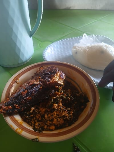 An overhead perspective captures a meal set on a bright green table in Marke, Nigeria. In the foreground, a ceramic bowl with brown and beige stripes contains a dark stew, featuring green leafy elements and lighter granular components, surmounted by a whole, dark-brown cooked fish. To the right, a white, textured plate with a beaded rim holds a portion of white, smooth, solidified food, consistent with a traditional 'swallow' staple, enclosed in a clear plastic bag. A dark-skinned hand is partially visible on the right, with fingers positioned near the white plate. A light blue, diamond-patterned plastic pitcher is situated in the upper left quadrant. The scene depicts an indoor dining environment.