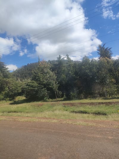 The image shows a rural landscape in Kibirichia ward, Kenya. In the foreground is a brown dirt road. Beyond the road is a green grassy area, and then a dense row of trees. Behind the trees, a hillside covered in lush vegetation rises. The sky is blue with scattered white clouds, and power lines are visible stretching across the top of the frame. No people are visible.