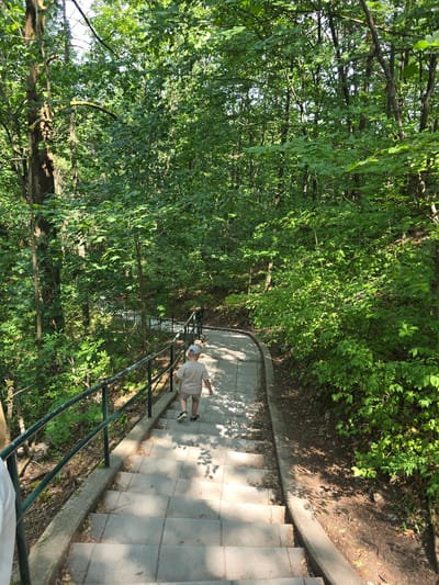 A young child wearing a light-colored t-shirt and shorts, and a white cap, walks down a set of outdoor stairs in a wooded area. The stairs are made of concrete and are flanked by a dark green metal railing on the left side. Lush green trees and foliage surround the stairs, with sunlight dappling through the leaves onto the path. The overall environment appears to be a park or a natural trail within a city, possibly Vilémovice, Czechia. The child is walking away from the camera.
