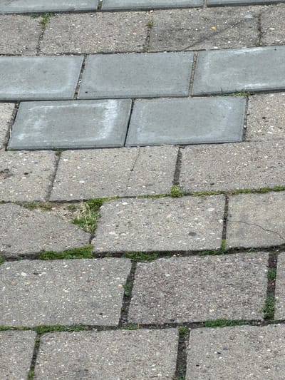 The image displays a close-up, eye-level view of a paved area, likely a sidewalk or pathway, in Halle (Saale), Germany. The paving consists of two types of materials: larger, rectangular gray concrete slabs and smaller, rougher gray concrete pavers interspersed with some vegetation. The concrete slabs are arranged in rows, and some of them show signs of wear and weathering, with lighter patches and scuff marks. The pavers are laid in a pattern that allows for gaps between them, which are filled with green grass and some dry weeds. The cracks between some of the pavers are visible, and in places, the grass has grown through these openings. The overall impression is of an outdoor urban environment that is functional but shows some signs of age and the encroachment of nature. The specific location within Halle (Saale) cannot be determined from the image alone.