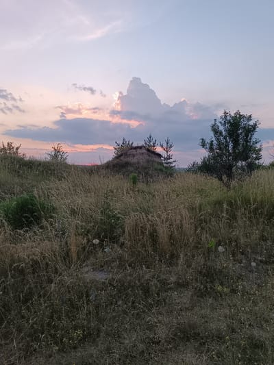 The image captures a rural landscape in Lozova, Ukraine, during twilight. The sky is a soft gradient of pale pink and blue, adorned with scattered clouds that catch the fading sunlight, creating an atmospheric dusk scene. In the foreground, tall, dry grasses dominate the frame, their golden and brown hues suggesting the late summer or early autumn season. A mound of earth rises in the middle ground, sparsely populated with a few small pine trees and some scrubby vegetation. To the right, a larger, mature tree stands silhouetted against the sky. The overall impression is one of natural tranquility, with no human figures or explicit signs of urban life visible in the scene. The terrain appears slightly rugged and undeveloped.