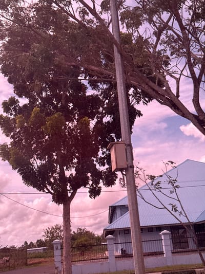 The image depicts an outdoor scene in Buengpageu, Indonesia. In the foreground, a tall tree with dark green foliage and visible branches dominates the left side of the frame. A grey utility pole stands next to the tree, with a small, light brown box attached to it. Beyond the utility pole, a light blue, corrugated metal roof of a building is visible, along with a white fence and a black metal fence. The sky is filled with clouds, tinged with pink hues, suggesting either sunrise or sunset. Further in the background, other trees and vegetation are present, and a road can be seen in the lower portion of the image. There are no people clearly visible in the scene. The overall impression is a natural environment integrated with human infrastructure.