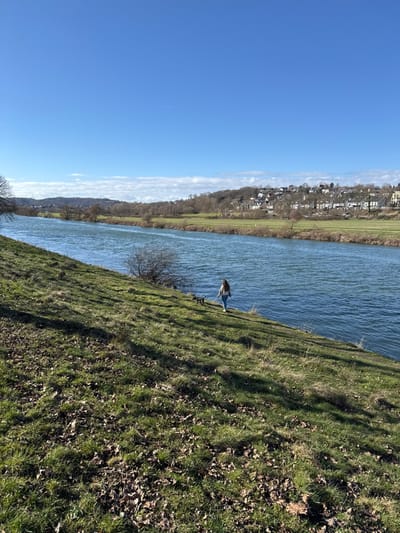 This image depicts an outdoor scene along the Ruhr River in Hattingen, Germany, under bright, clear conditions, likely during late winter or early spring.

The foreground consists of a steeply sloping grassy bank, partially covered with scattered dry brown leaves. Strong shadows are cast from right to left across this bank. In the midground, a lone individual, appearing female, is observed from behind, walking from left to right along the river's edge. She wears a light-colored long-sleeved top and light blue jeans. A medium-sized, dark-furred dog walks on a leash slightly ahead of her, also moving rightward.

The Ruhr River, with its greenish-blue water showing surface ripples, flows from left to right across the central portion of the frame. Sparse, bare deciduous bushes and trees line sections of both riverbanks.

On the far side of the river, the landscape rises gently into a tree-covered hill. A significant portion of the city of Hattingen is visible on this hill, characterized by numerous residential buildings with light-colored facades and dark roofs, interspersed among bare trees. The background features a clear, bright blue sky with a faint airplane contrail in the upper center and a thin band of distant white clouds along the horizon.