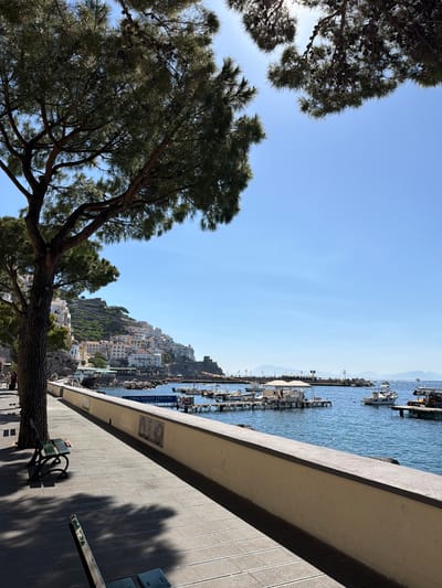 The image captures a scenic view in Pogerola, Italy. In the foreground, a pine tree stretches across the left side of the frame. To the right of the tree is a high stone wall. Beyond the wall, the view opens up to a coastline featuring the town's characteristic architecture, where buildings are stacked up the hillside, a blue sea and a marina filled with boats. The sky is clear and blue, suggesting a sunny day. The perspective indicates the photo was taken from an elevated position. A tiled walkway runs along the base of the wall, including seating.