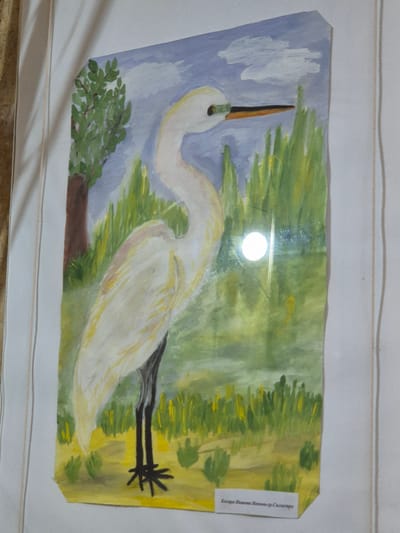 The image is a child's painting of a great egret (Ardea alba) in a marshy environment. The egret is depicted with a white body, yellow beak, and dark legs. The background consists of green and yellow vegetation, suggesting reeds or grasses, with a blue sky and some clouds in the upper left corner. The painting is likely inspired by the Srebarna Nature Reserve in Srebarna, Bulgaria, a UNESCO World Heritage site, known for its diverse birdlife, including the great egret. The style is naive and characteristic of children's art. The name "Kocapa Hиколовa Hиколова-гр. Силистра" is visible in the top right corner, potentially indicating the artist's name and location (Silistra, Bulgaria).