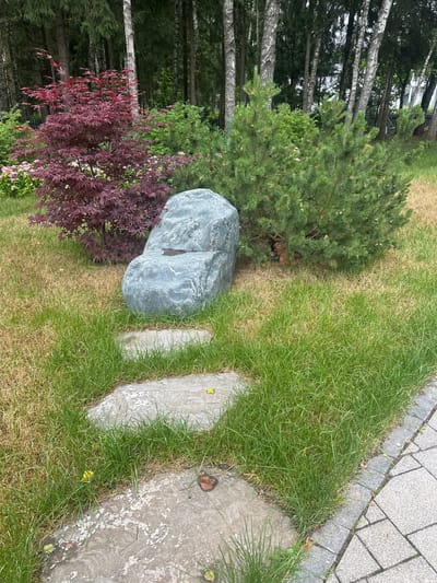 This is a high-angle, eye-level shot of a garden in Uyut, Russia. The scene is dominated by lush green grass and a variety of plants, including a Japanese maple with deep red leaves and a pine tree with dense, green foliage. Two large, grey stones are placed strategically in the garden, adding a natural, artistic element.

In the background, a dense forest of tall trees, some with white bark, creates a natural boundary. A glimpse of a white building with windows is visible through the trees, suggesting the garden is part of a residential property. The ground also features paving stones made of grey, textured material, indicating a pathway or patio area bordering the lawn.

The lighting suggests it is daytime, with natural light illuminating the scene. The weather appears pleasant, with the vibrant green of the grass and foliage indicating healthy plant life and likely good growing conditions. There is no activity taking place; the image captures a serene, static moment in the garden. No text is visible in the image. The overall impression is one of a well-maintained and tranquil outdoor space.