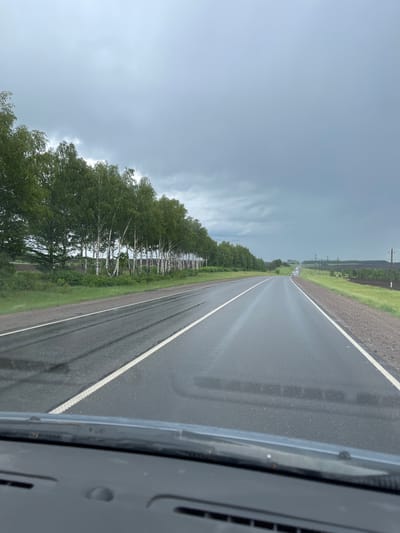 The image depicts a view from inside a vehicle, looking out onto a wet road. The road is asphalt, with a white line marking the edge of the lane. Alongside the road is a line of birch trees. The sky is overcast with dark clouds. In the distance, there are power lines and more trees. The location is Кокино, Russia.