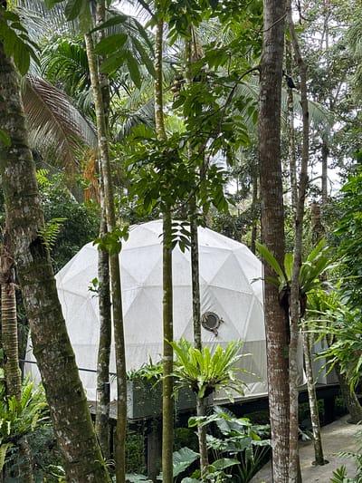 The image shows a white geodesic dome structure surrounded by lush tropical vegetation, with tree trunks prominently framing the view. The location is Licin, Indonesia, as the context implies. The dome, constructed from triangular panels, features at least one small, round window. Numerous trees with thick, textured bark grow around the dome, their trunks and branches intersecting the view. Ferns and other epiphytic plants grow on the tree trunks. The scene appears to be in a dense forest or garden setting. There is a bird perched on the top left of the frame. There are no discernible people present.