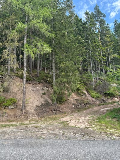 The image depicts a forest on a hillside with a dirt path winding through it. In the foreground, a paved road is visible. The trees are tall and densely packed, with lush green foliage. The sky is blue with scattered white clouds. There are no people or animals present in the image. The scene appears to be a natural landscape, possibly a forest trail or a rural area. The specific location in Chełmsko Śląskie, Poland, is not identifiable from the image itself.