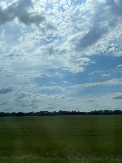 This is a landscape photograph taken from a slightly elevated perspective, showing a vast expanse of green grass stretching towards a line of dark green trees that forms the horizon. The sky above is a pale blue, filled with a dramatic display of white and grey clouds. Some clouds are wispy and thin, while others are puffy and dense, creating a textured and dynamic sky. The sunlight filtering through the clouds suggests it is daytime, likely mid-morning or afternoon, with the light casting a soft glow over the scene. The grass appears to be well-maintained, possibly a field or a large lawn, with some hints of taller, wilder grass on the right edge of the frame. The overall atmosphere is serene and natural, with no visible human presence or man-made objects other than perhaps the implied landscaping of the grassy area. The scene conveys a sense of openness and the beauty of a natural landscape under a cloudy sky.