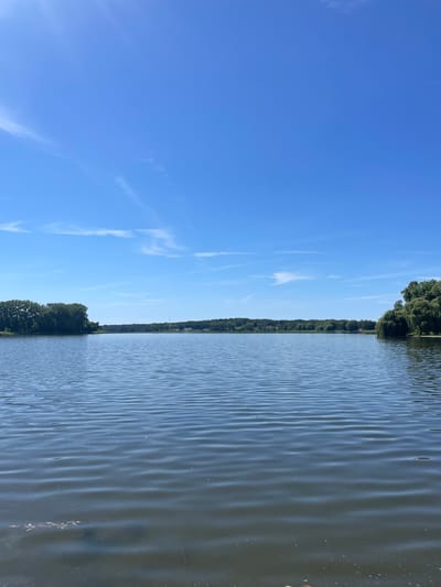 The image shows a serene natural scene featuring a body of water and a clear blue sky. The water is calm with gentle ripples, reflecting the sunlight and creating a shimmering effect. Along the edge of the water, a dense line of lush green trees forms a natural boundary, suggesting a lakeside or riverbank setting. The sky is a vibrant blue, with a few wispy white clouds scattered across it, indicating fair weather.
The overall impression is one of tranquility and natural beauty. The lighting suggests it is daytime, likely a sunny afternoon or morning, given the brightness and the clear sky. The presence of trees and the expansive water body point towards a natural environment, possibly a park, a nature reserve, or a rural landscape. The scene evokes a sense of peace and could be interpreted as a moment of calm observation of nature. There is no visible text in the image. The location context provided is Nowogard, Poland, which aligns with the description of a natural landscape with water and trees.
