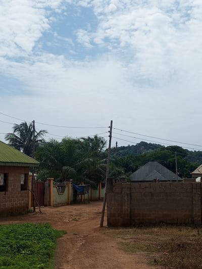 The image depicts a street scene in Iyara, Nigeria, under a partly cloudy sky. The foreground features a dirt road with sparse dry grass and vegetation. To the left, a brick building with a green corrugated metal roof and barred windows is visible. Adjacent to it is a gate made of weathered wood. A tall wooden pole with attached electrical wires runs vertically through the center of the image. Beyond this, a fence with green decorative elements and barbed wire separates properties. Several palm trees and other lush green foliage dominate the mid-ground. In the background, a wooded hill with exposed rock formations rises against the sky, and more buildings with corrugated metal roofs are present. A concrete wall constructed from cinder blocks forms a prominent barrier in the right mid-ground. The overall environment appears to be a residential or semi-rural area. There are no people visible in the image.