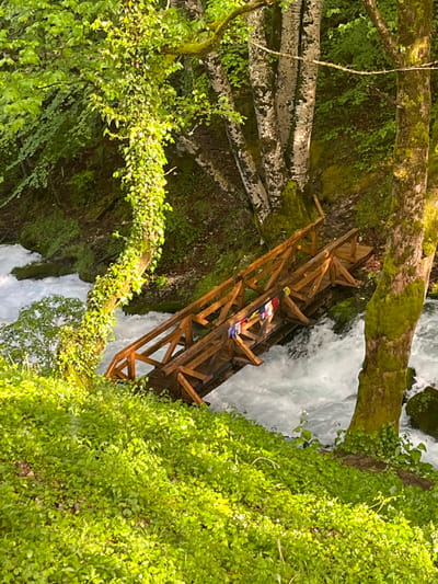 The image shows a wooden structure, likely a bridge or platform, positioned over a rushing stream or river in Crna Poda, Montenegro. The water is fast-flowing and white, indicating a rapid descent. The bridge appears to be constructed from raw timbers. Patches of colored fabric are affixed to the structure. The surrounding environment is lush with green vegetation, including moss-covered trees and thick ground cover.