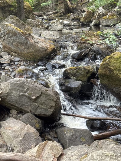 The image depicts a rocky stream flowing through a wooded area. Large, moss-covered boulders are scattered along the banks and in the streambed. The water is clear and appears to be flowing over rocks, creating small cascades and rapids. The surrounding trees are tall and dense, with some deadfall visible among them. The ground is covered with rocks, soil, and fallen leaves. There are no people or animals visible in the image. The scene is natural and appears to be in a remote or wilderness setting within East Central Okanagan Electoral Area, Canada.
