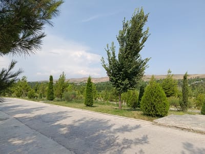 This media file depicts a paved pathway leading through a park-like setting in Gulshan, Uzbekistan. The pathway is lined with various trees and shrubs, including several cypress trees and a larger deciduous tree in the mid-ground. In the background, a gently rolling landscape with sparse vegetation and distant buildings suggests a rural or semi-rural environment. The sky is a clear blue with a few wispy clouds, indicating fair weather. The sunlight casts distinct shadows of the trees onto the pathway, suggesting it is daytime, likely late morning or early afternoon. There are no people or specific activities visible in the frame, creating a sense of tranquility and natural beauty. The overall impression is of a peaceful outdoor space.