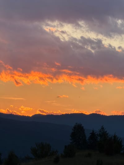 The image captures a dramatic sunset over a mountainous landscape in Donja Brezna, Montenegro. The scene is dominated by the sky, divided into two distinct sections. On the left, the sky is filled with soft, diffused purple and grey clouds, with hints of pale yellow and orange peeking through. As the eye moves to the right, the clouds become increasingly vibrant, taking on a fiery orange hue, edged with bright yellow and pink from the setting sun. These illuminated clouds form a striking band against the deepening twilight sky.
Below the sky, a dark, silhouetted mountain range stretches across the frame, its jagged outline softened by the distance. Along the crest of the mountains, the last rays of sunlight catch the edges of scattered clouds, creating a fiery halo effect. To the right of the mountains, a dense forest of dark green trees is visible, also silhouetted against the sky, with the texture of their needles and branches discernible. The ground in the foreground on the far right appears to be a grassy slope, also in shadow.
The time of day is clearly sunset, with the colors indicating the transition from daylight to dusk. The weather appears calm, with the clouds indicating a clear, albeit dramatic, end to the day. The overall mood is one of awe and natural beauty, emphasizing the dramatic interplay of light and shadow in the mountainous terrain. There is no visible text in the image.