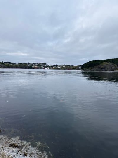 The image shows a view of the water in Rong, Norway. The water is dark and appears calm with some ripples. The foreground shows the edge of the water with rocks and seaweed visible. In the background, there is a coastline with houses and trees. The sky is overcast and cloudy. The scene appears to be a residential area along the coast.