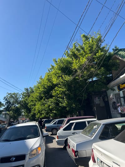 The image captures a street scene in Ақсу, Kazakhstan, featuring parked cars lining the road. A large, leafy tree dominates the view, partially obscuring a building facade. Overhead, electrical wires crisscross the clear blue sky. The parked cars include a white Daewoo and several other vehicles with license plates indicating they are registered in Kazakhstan. No people are clearly visible in the primary foreground. The image suggests a typical residential or commercial street in the city.
