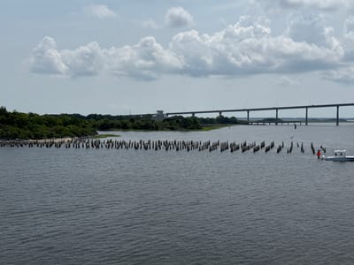 This image depicts a wide, calm body of water with a distant, modern bridge spanning across it. In the foreground, the water is a dark, murky grey with gentle ripples. Along the left bank, a dense line of lush green trees creates a sharp contrast with the water. Emerging from the water in a line, are numerous weathered wooden pilings, some of which are topped with birds. To the right of the pilings, a white motorboat with two occupants is visible, navigating the water near a red buoy. In the far distance, the concrete structure of the bridge dominates the horizon, supported by multiple pillars. The sky above is a pale grey, filled with a scattering of large, fluffy white clouds. The scene appears to be a daytime view of the Brunswick River in Brunswick, Georgia, United States of America.