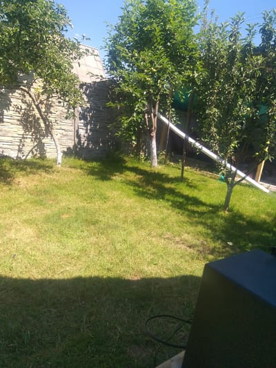 This media file depicts an outdoor scene in Potoky, Ukraine, likely during daylight hours on a sunny day. The primary subjects are a well-maintained green lawn, several fruit trees laden with small green fruits, and a rustic stone wall.
In the foreground and mid-ground, a lush green lawn occupies a significant portion of the frame, with some areas appearing drier and lighter in color, suggesting it might be late summer or early autumn. The lawn is illuminated by bright sunlight, casting distinct shadows from the trees and an unseen object on the right side of the frame.
Two fruit trees are prominently featured. One is a mature tree with a dense canopy of green leaves, its branches extending towards the viewer and over the stone wall. Small green fruits, likely apples or pears, are visible amongst the leaves. A second, younger tree with a thinner trunk and fewer branches stands in the mid-ground, also showing green foliage.
To the left of the image, a textured stone wall forms a backdrop for the trees. The wall is constructed from irregularly shaped stones, giving it a natural and aged appearance. The sunlight creates a play of light and shadow on the wall's surface, highlighting its texture.
On the far right of the image, a dark, angular object is partially visible, casting a large shadow across the lawn. It appears to be a piece of equipment, possibly an outdoor speaker or a piece of furniture, with a black cable running from it onto the grass.
The overall impression is one of a peaceful, sun-drenched garden or backyard. The clear blue sky above and the vibrant green of the trees and grass suggest pleasant weather conditions. No people are visible in the frame, and there is no visible text. The scene evokes a sense of natural beauty and rural tranquility.
