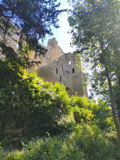 An image depicts the ruins of Ludlow Castle, located in Ludlow, United Kingdom. The castle ruins are visible from a low angle, surrounded by lush green foliage and trees. The stone walls of the castle are weathered and partially overgrown with vegetation, suggesting age and disuse. Sunlight filters through the trees, casting shadows on the castle walls and the surrounding landscape. The sky is bright and clear, indicating a sunny day. The scene evokes a sense of history and natural beauty, with the ancient structure nestled within a vibrant natural setting.
