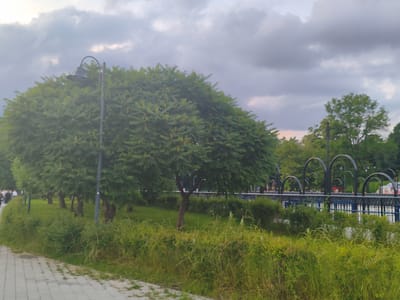 This media file captures a park scene under a cloudy sky, likely in the late afternoon or early evening as the light is soft and diffused. The foreground features a paved walkway with a stone pattern, bordered by lush, overgrown green grass and bushes. Several trees with dense, feathery green foliage are scattered throughout the park, with one prominent tree in the left half of the frame, near a streetlamp.

In the background, a decorative fence with arched metal structures can be seen, suggesting a pathway or bridge. Beyond the fence, more trees form a green canopy, and hints of distant buildings or structures are visible. A few people are present on the walkway in the far left, appearing as small, indistinct figures, indicating a public space. The weather appears overcast with heavy, grey clouds dominating the sky, creating a muted color palette. The overall impression is one of a quiet, natural setting within an urban environment. There is no visible text in the image.